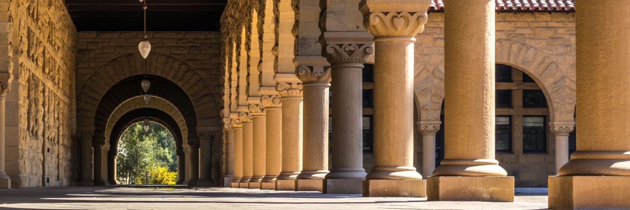 What a Stanford psychologist taught me about the 11+